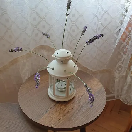 Boho Chic Free Parking Appartement Varna