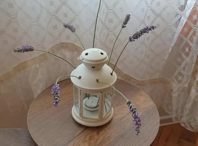 Boho Chic Free Parking Apartman Várna